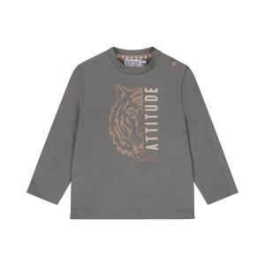 Dirkje Jungen-Langarmshirt in Grau mit Tiger