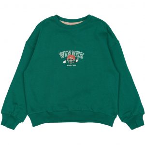 Winner Pullover Jungs von The New